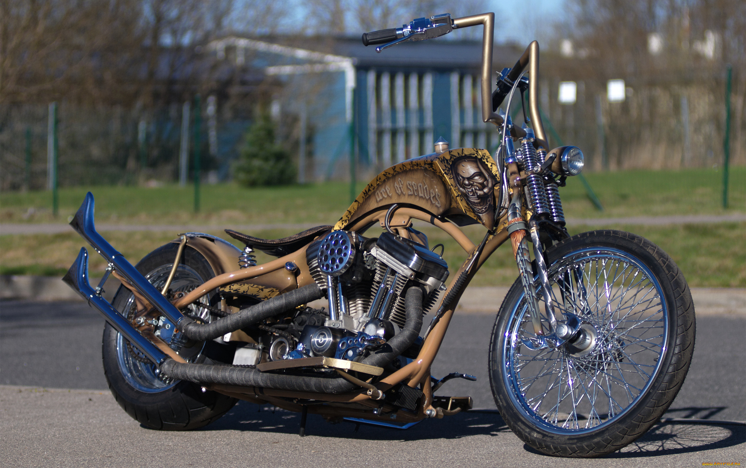 , customs, chopper, custom